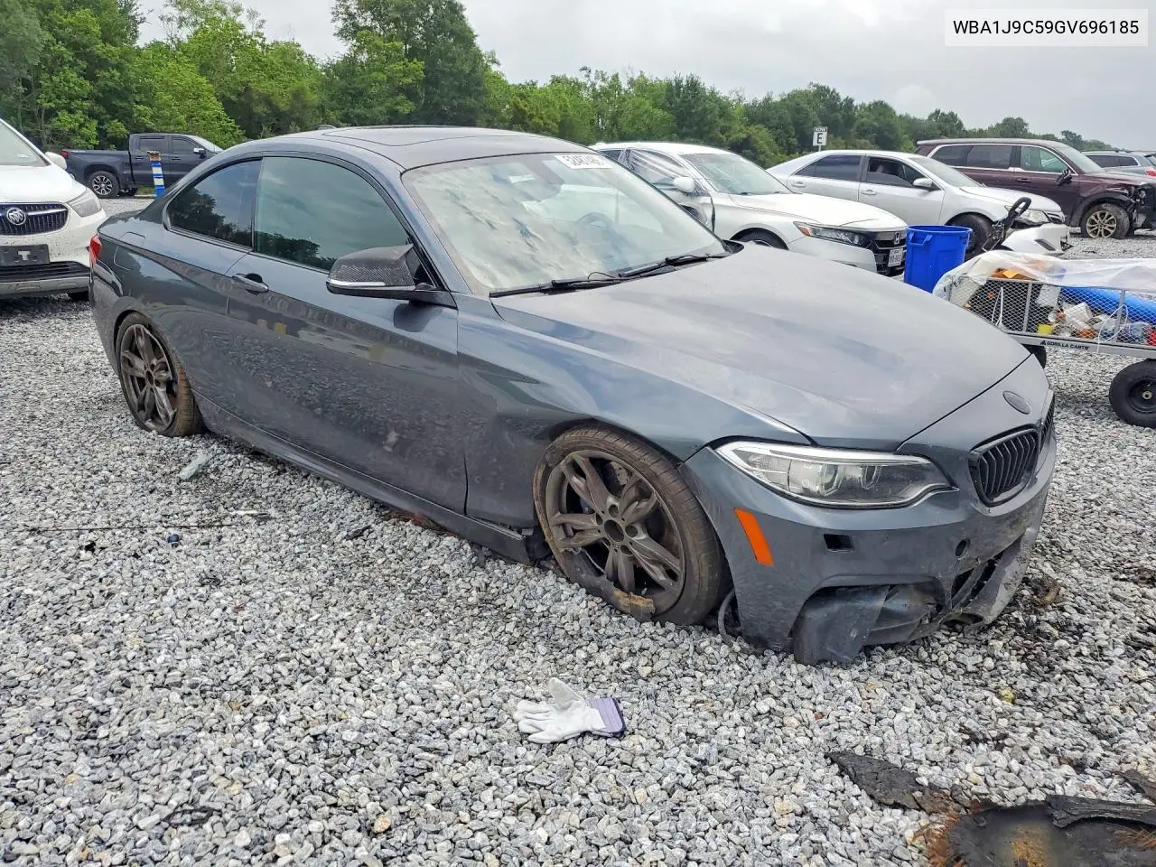 2016 BMW M235Xi VIN: WBA1J9C59GV696185 Lot: 52487486