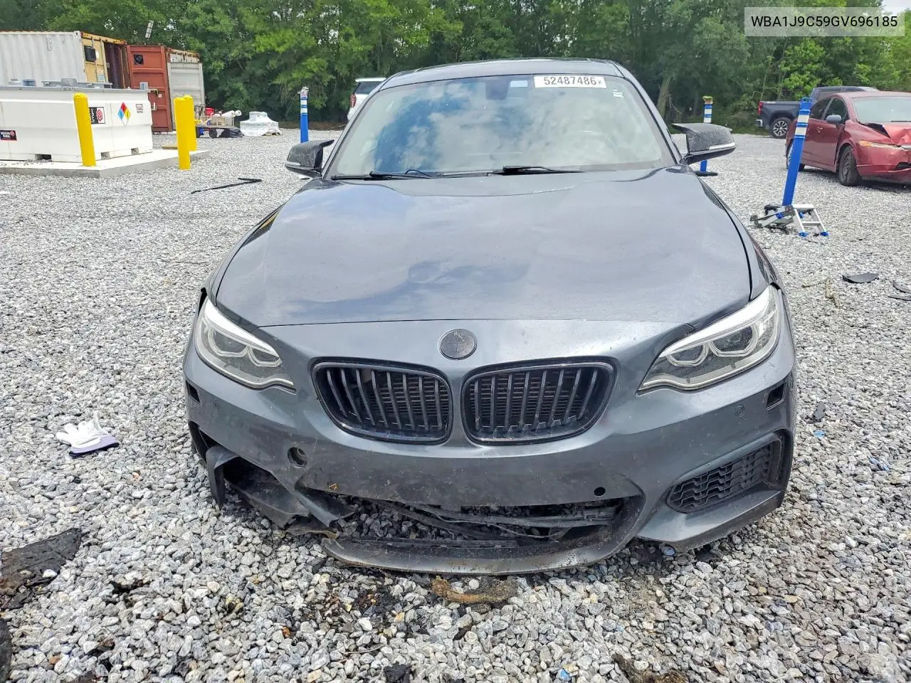 2016 BMW M235Xi VIN: WBA1J9C59GV696185 Lot: 52487486