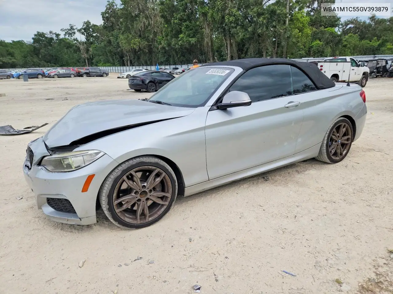 2016 BMW M235I VIN: WBA1M1C55GV393879 Lot: 56509336