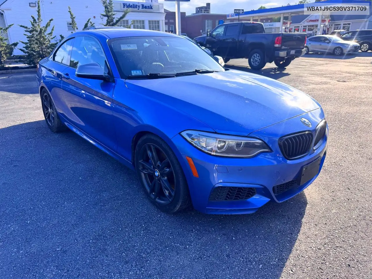 2016 BMW M235Xi VIN: WBA1J9C53GV371709 Lot: 60015956
