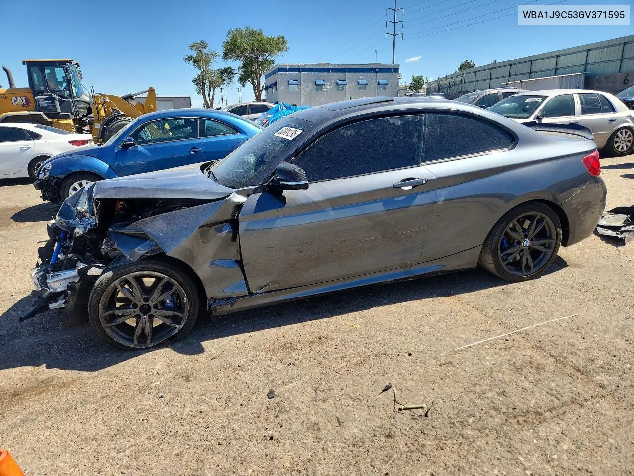 2016 BMW M235Xi VIN: WBA1J9C53GV371595 Lot: 60391236