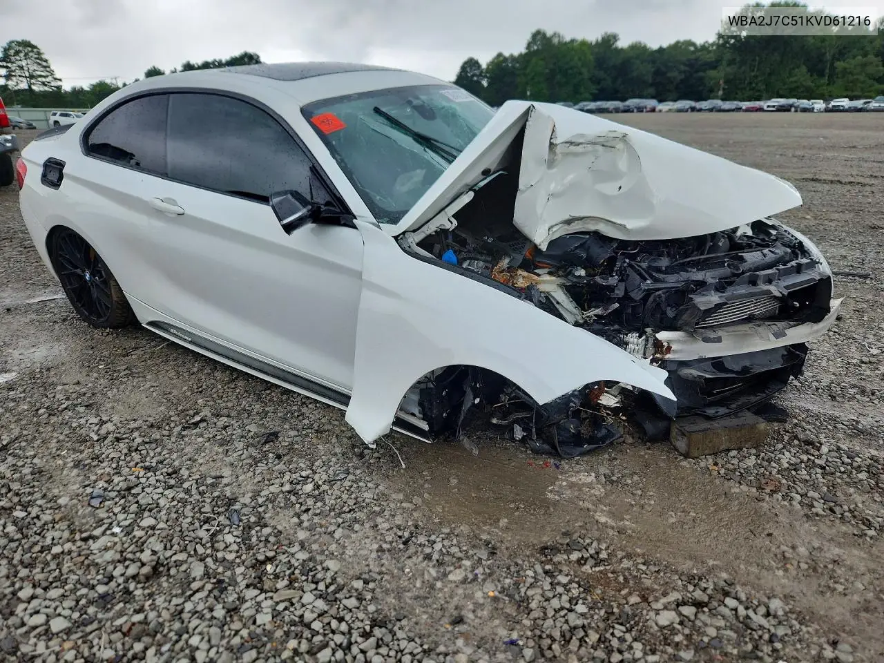 2019 BMW M240Xi VIN: WBA2J7C51KVD61216 Lot: 59402286