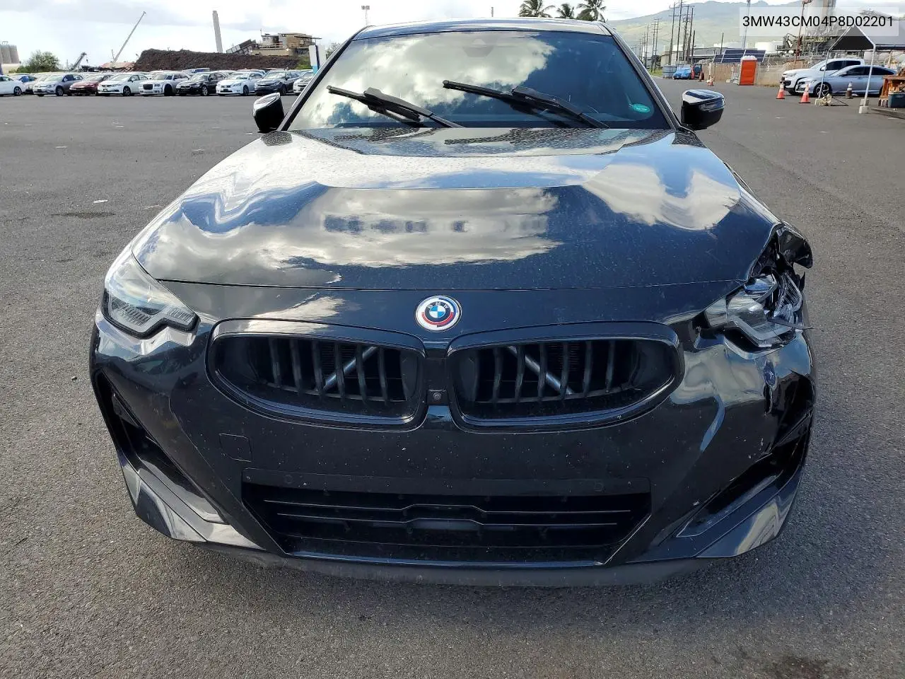 2023 BMW M240I VIN: 3MW43CM04P8D02201 Lot: 53657266