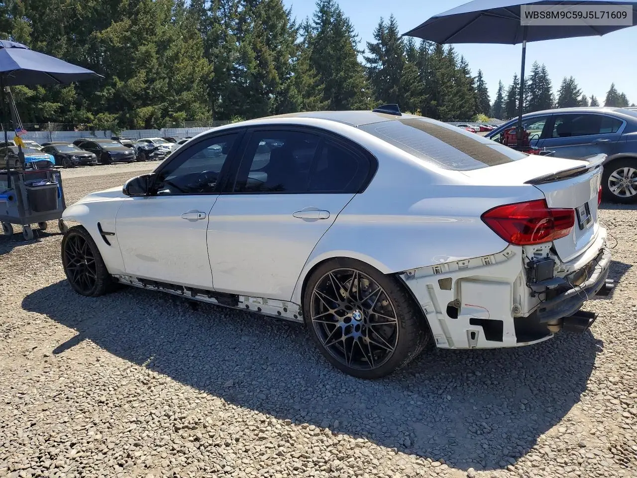 V (F80)