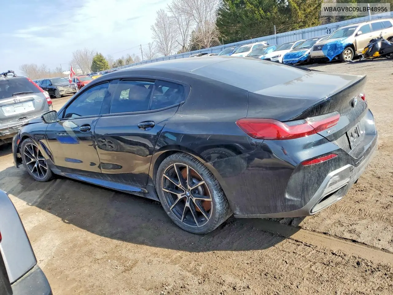 2020 BMW M850Xi VIN: WBAGV8C09LBP48956 Lot: 79568445