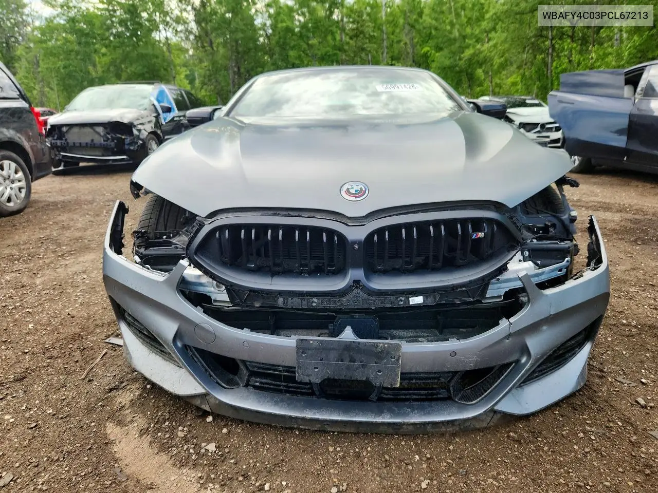2023 BMW M850Xi VIN: WBAFY4C03PCL67213 Lot: 56991426