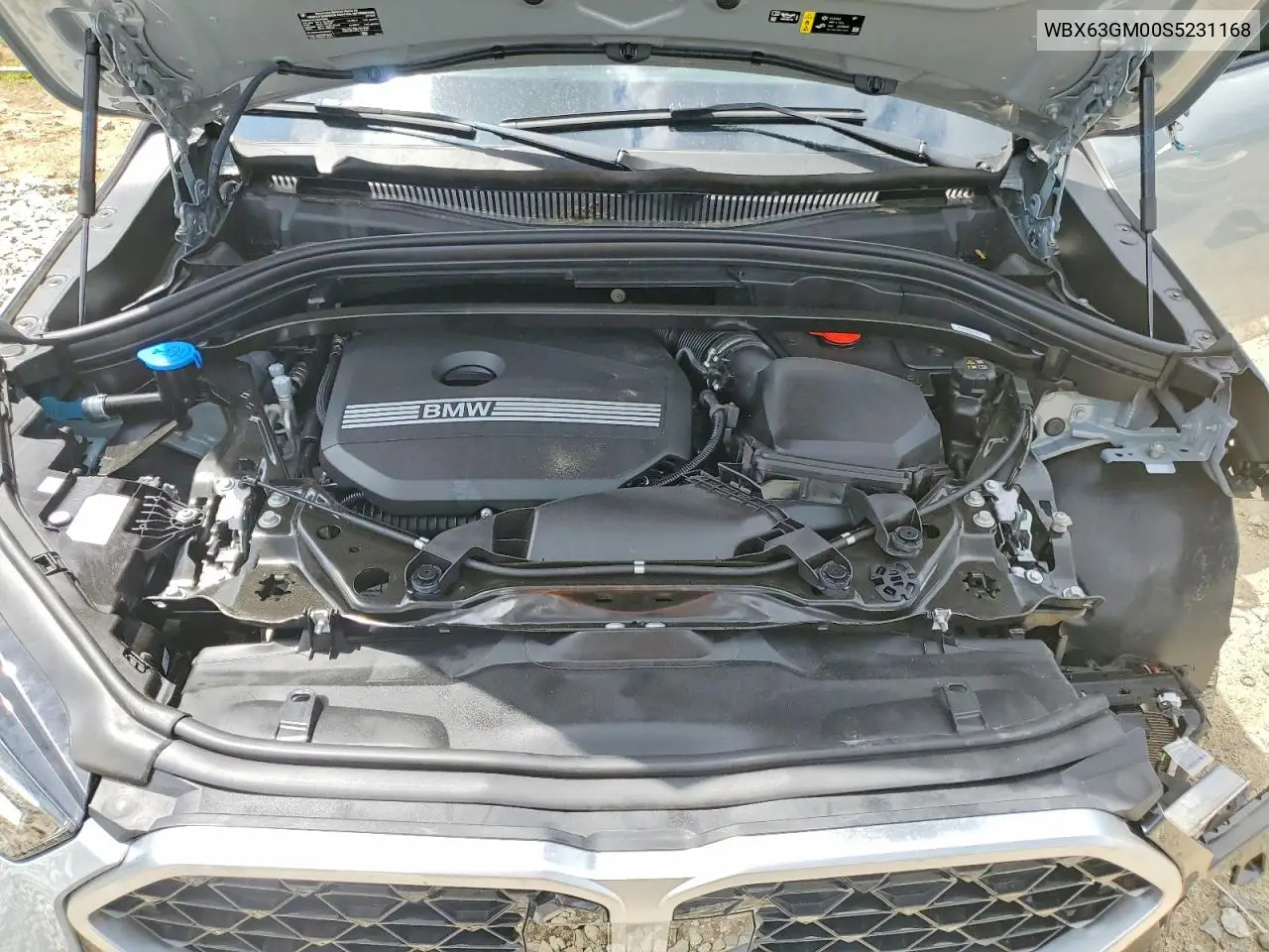 2025 BMW X2 xDrive28I VIN: WBX63GM00S5231168 Lot: 52872946