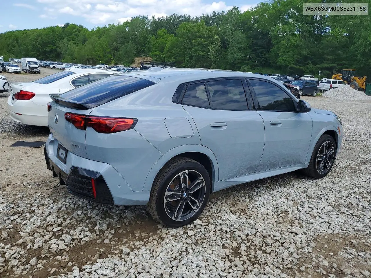 2025 BMW X2 xDrive28I VIN: WBX63GM00S5231168 Lot: 52872946
