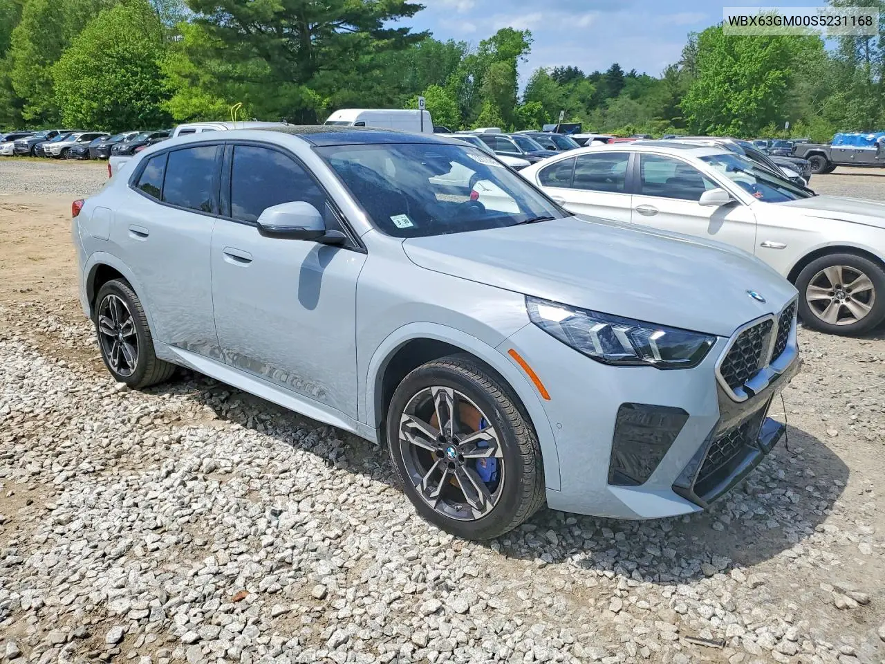 2025 BMW X2 xDrive28I VIN: WBX63GM00S5231168 Lot: 52872946