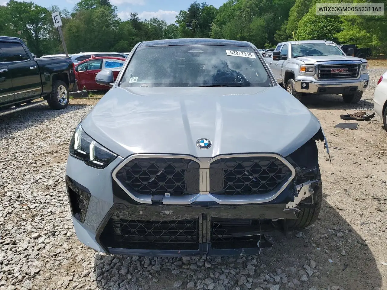 2025 BMW X2 xDrive28I VIN: WBX63GM00S5231168 Lot: 52872946