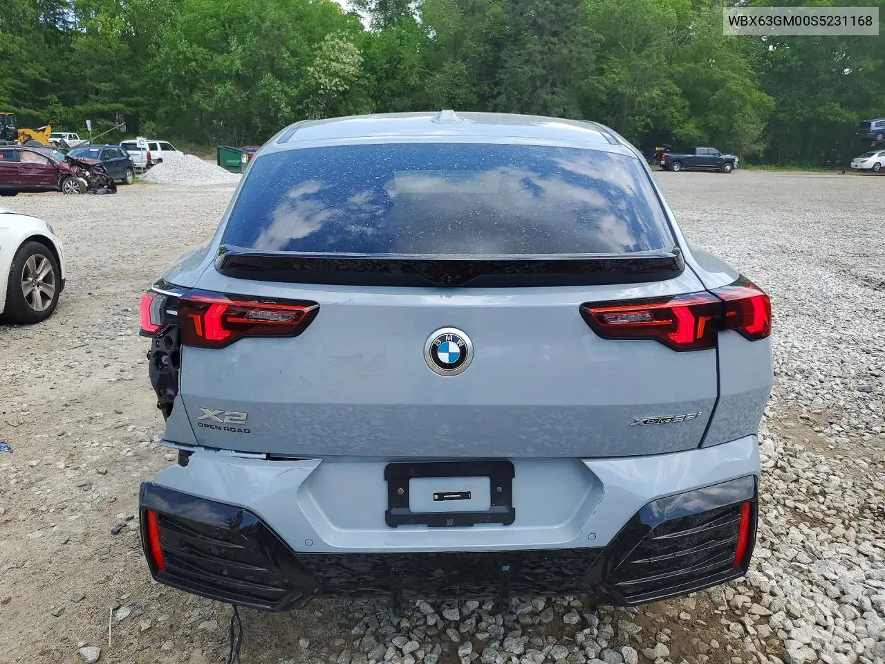 2025 BMW X2 xDrive28I VIN: WBX63GM00S5231168 Lot: 52872946