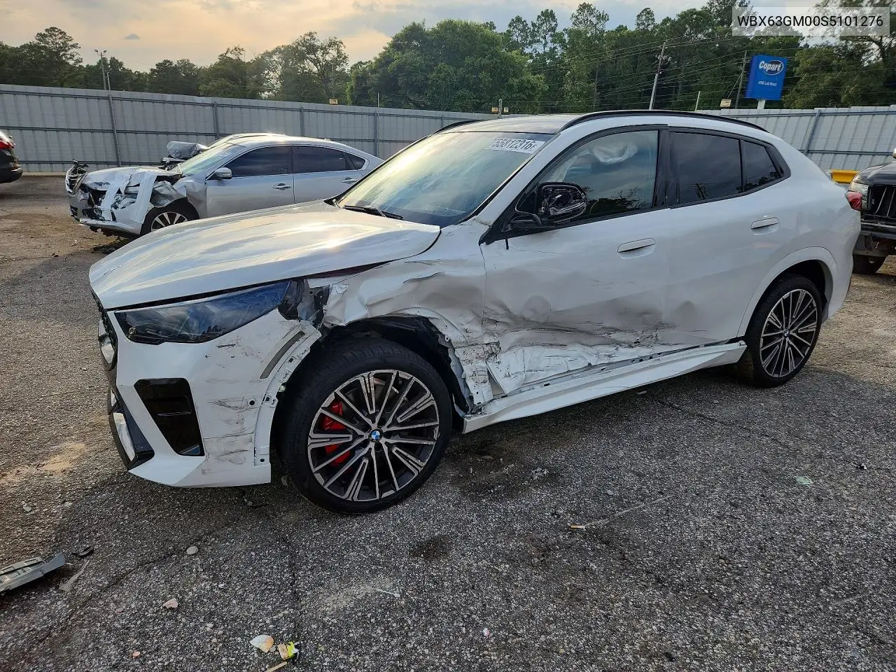 2025 BMW X2 xDrive28I VIN: WBX63GM00S5101276 Lot: 55812316