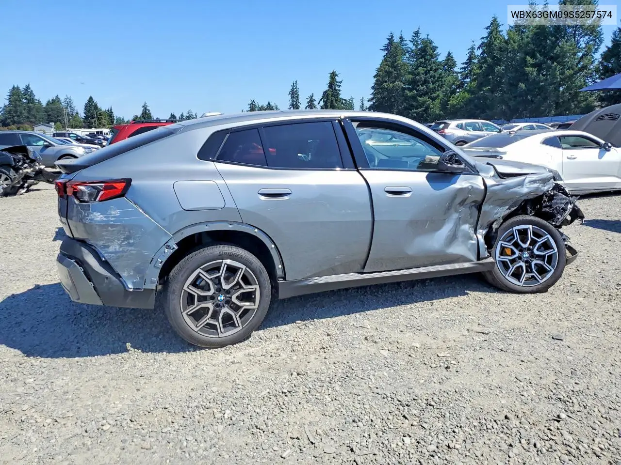 2025 BMW X2 xDrive28I VIN: WBX63GM09S5257574 Lot: 59392436