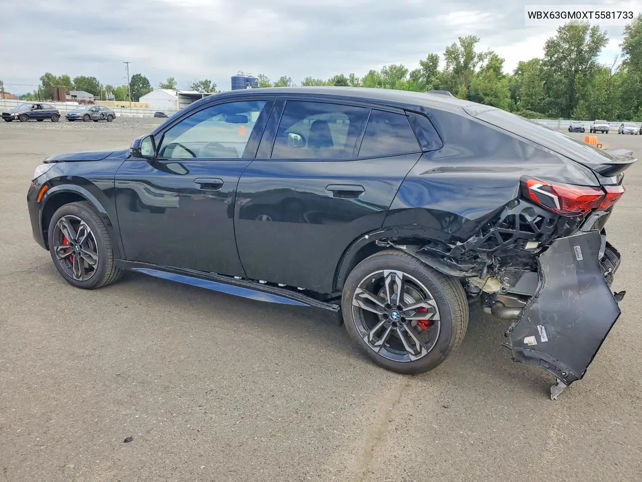 2026 BMW X2 xDrive28I VIN: WBX63GM0XT5581733 Lot: 53832106