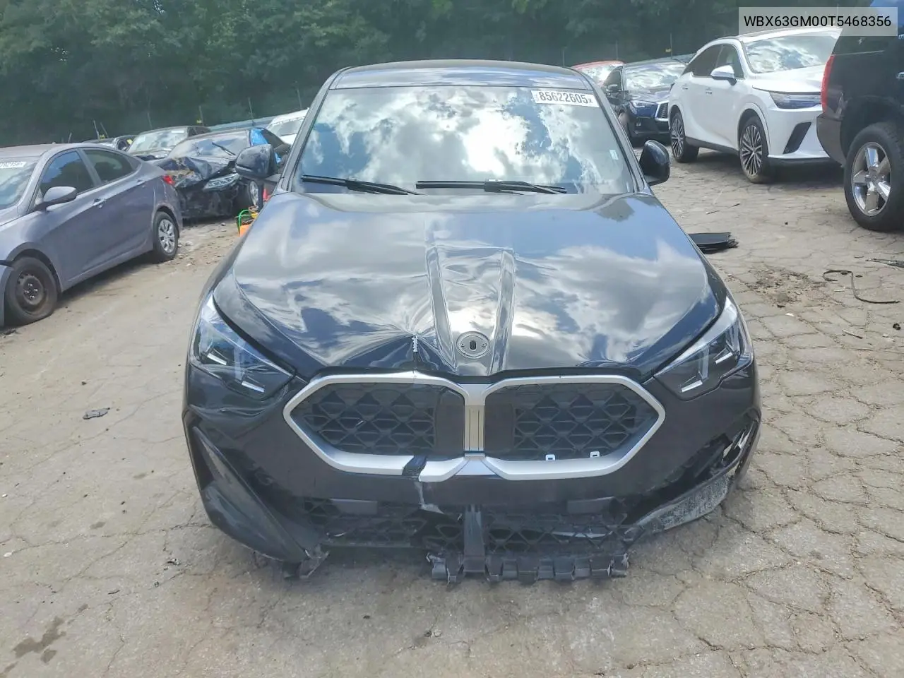 2026 BMW X2 xDrive28I VIN: WBX63GM00T5468356 Lot: 85622605