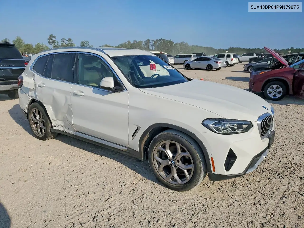 2023 BMW X3 Sdrive30I VIN: 5UX43DP04P9N79875 Lot: 46537626