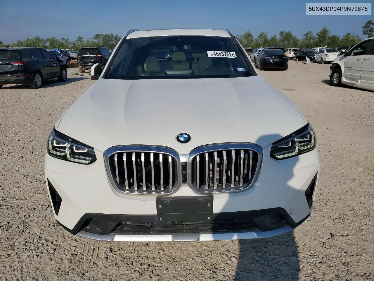 2023 BMW X3 Sdrive30I VIN: 5UX43DP04P9N79875 Lot: 46537626