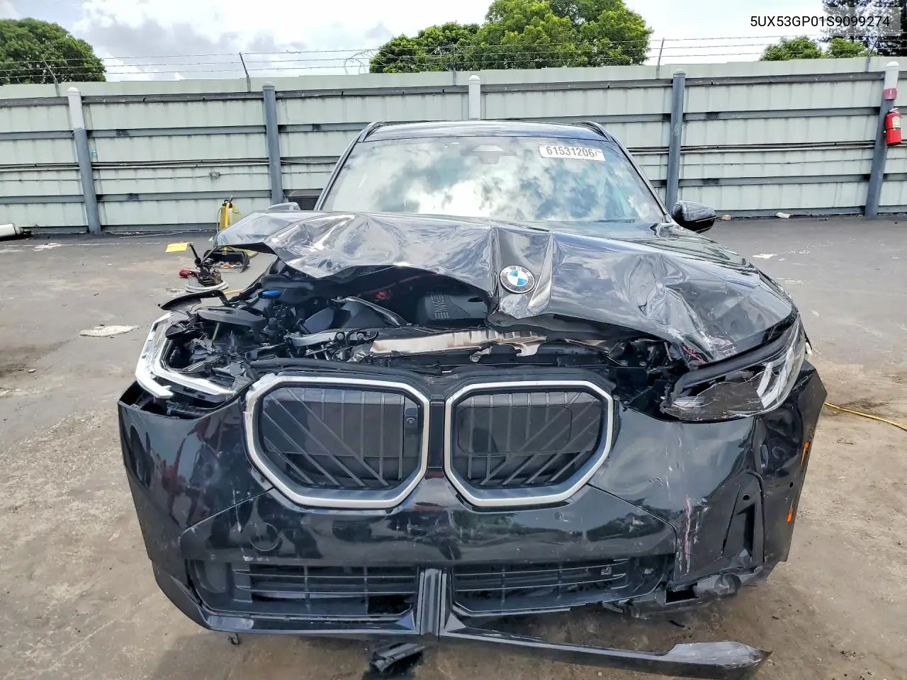 2025 BMW X3 30 xDrive VIN: 5UX53GP01S9099274 Lot: 61531206