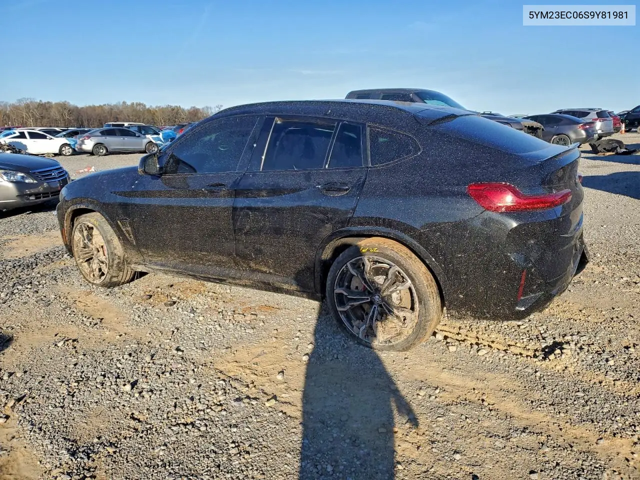 2025 BMW X4 M VIN: 5YM23EC06S9Y81981 Lot: 96166565