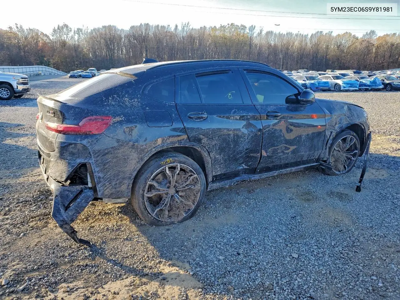 2025 BMW X4 M VIN: 5YM23EC06S9Y81981 Lot: 96166565