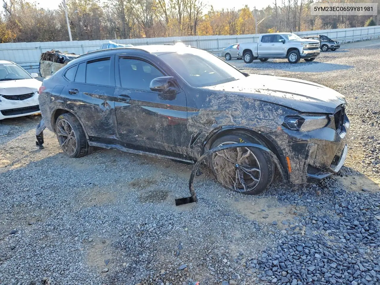 2025 BMW X4 M VIN: 5YM23EC06S9Y81981 Lot: 96166565