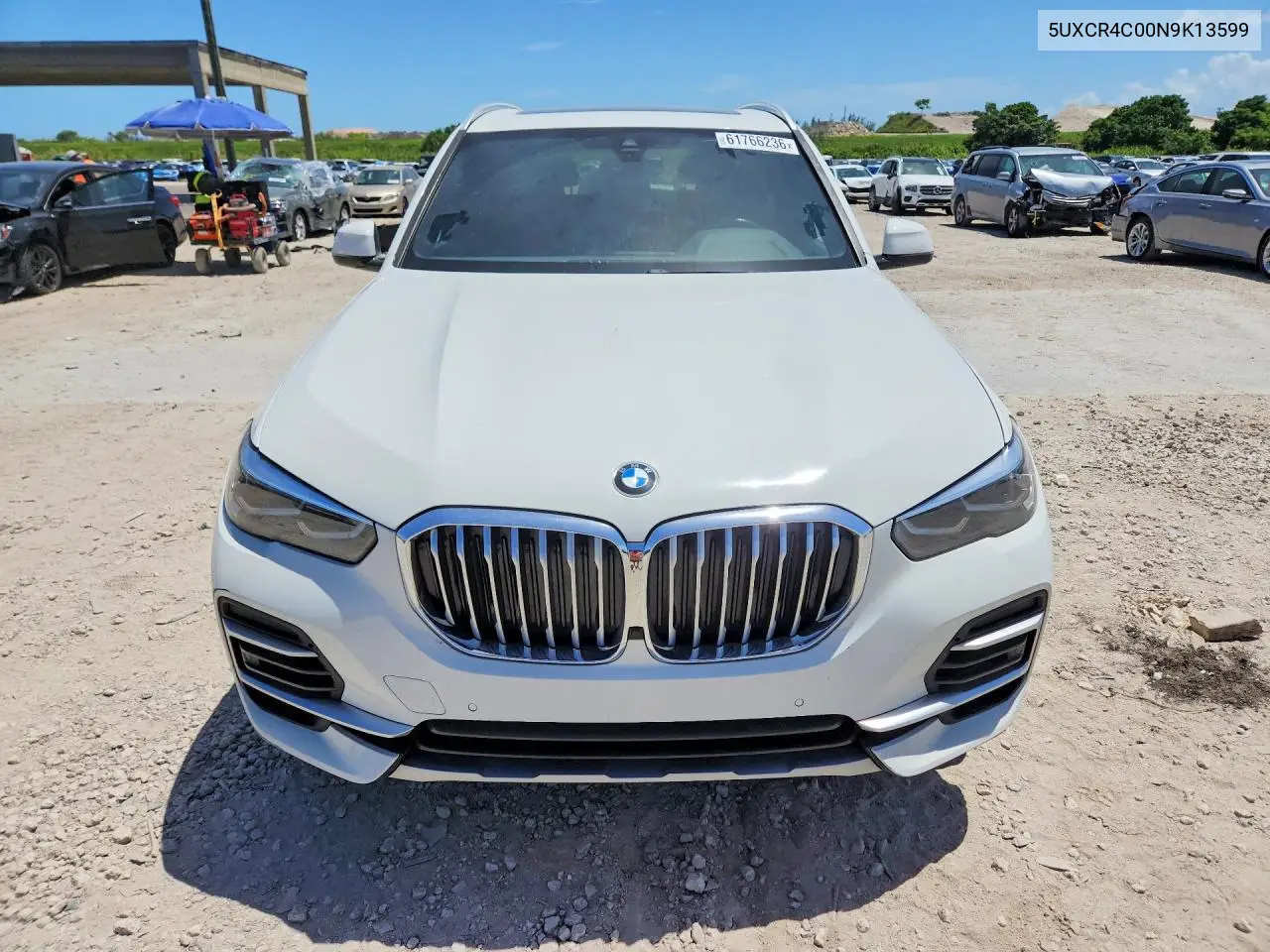 2022 BMW X5 Sdrive 40I VIN: 5UXCR4C00N9K13599 Lot: 61766236