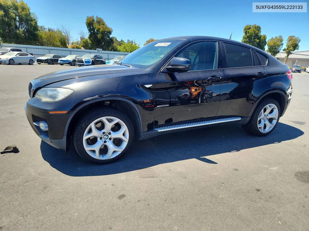 2009 BMW X6 xDrive35I VIN: 5UXFG43559L223133 Lot: 61247146