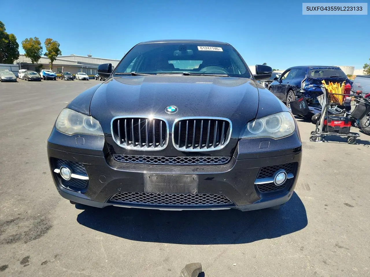 2009 BMW X6 xDrive35I VIN: 5UXFG43559L223133 Lot: 61247146