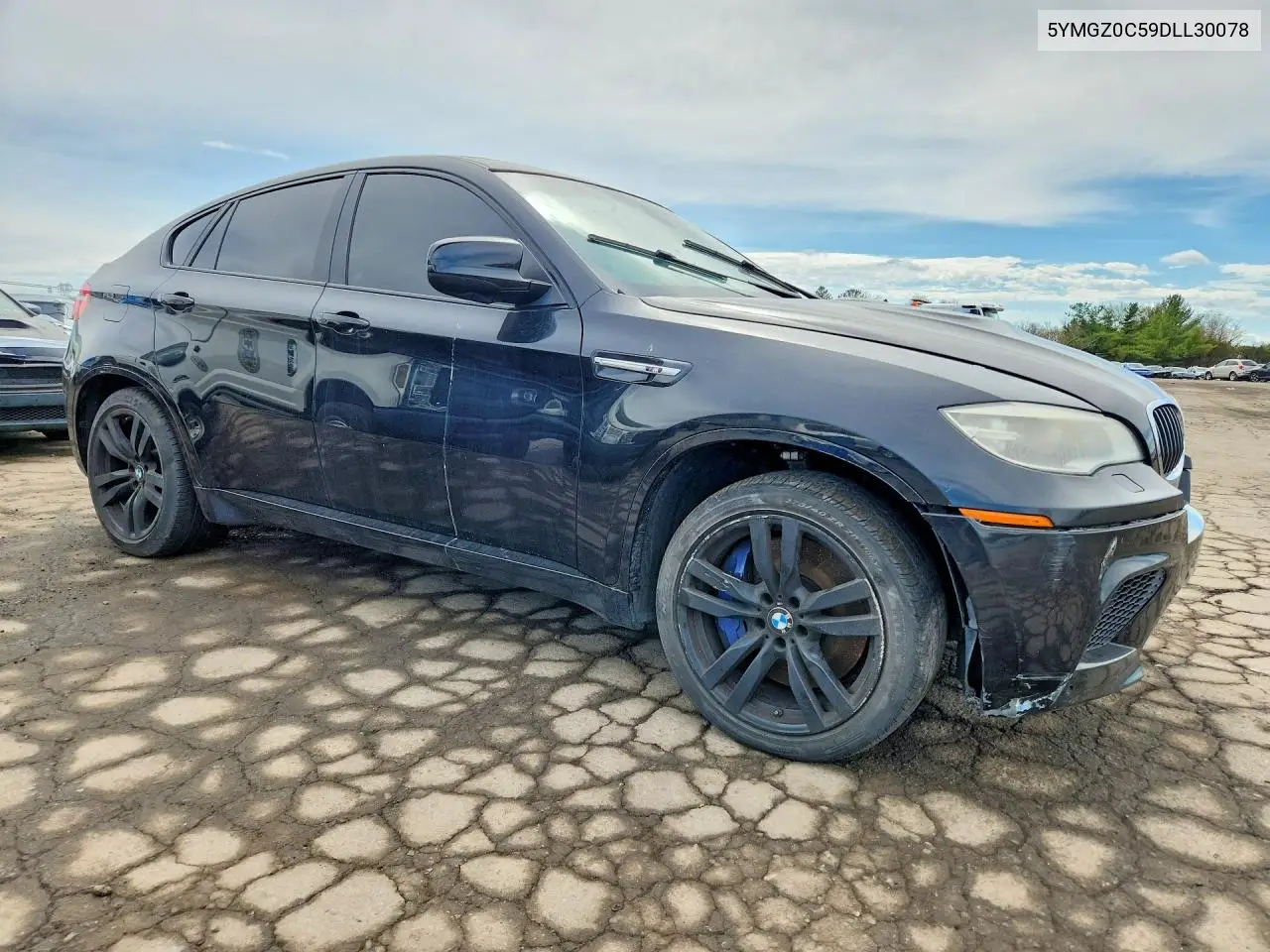 5YMGZ0C59DLL30078 2013 BMW X6 M