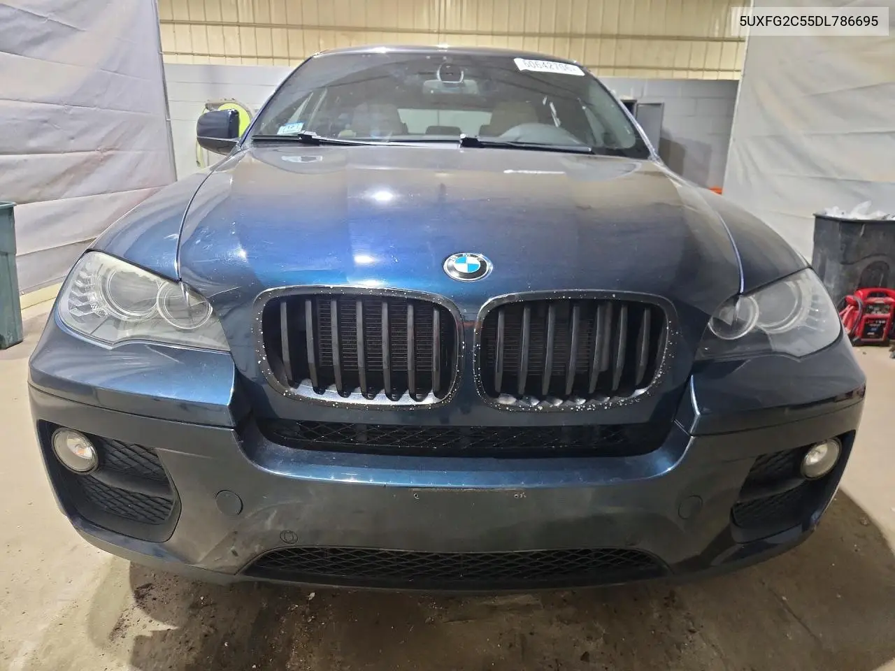 2013 BMW X6 xDrive35I VIN: 5UXFG2C55DL786695 Lot: 60642706