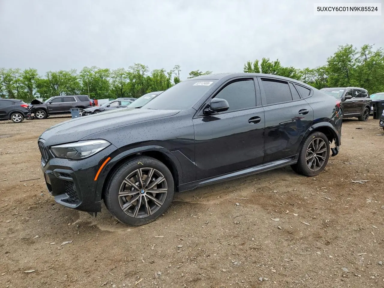 2022 BMW X6 xDrive40I VIN: 5UXCY6C01N9K85524 Lot: 53112406