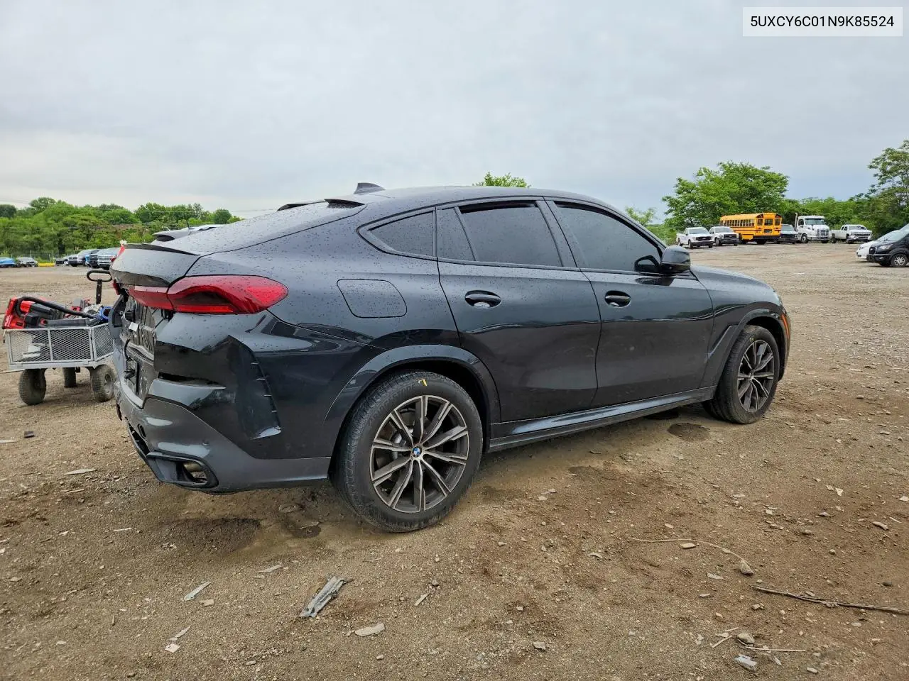 2022 BMW X6 xDrive40I VIN: 5UXCY6C01N9K85524 Lot: 53112406