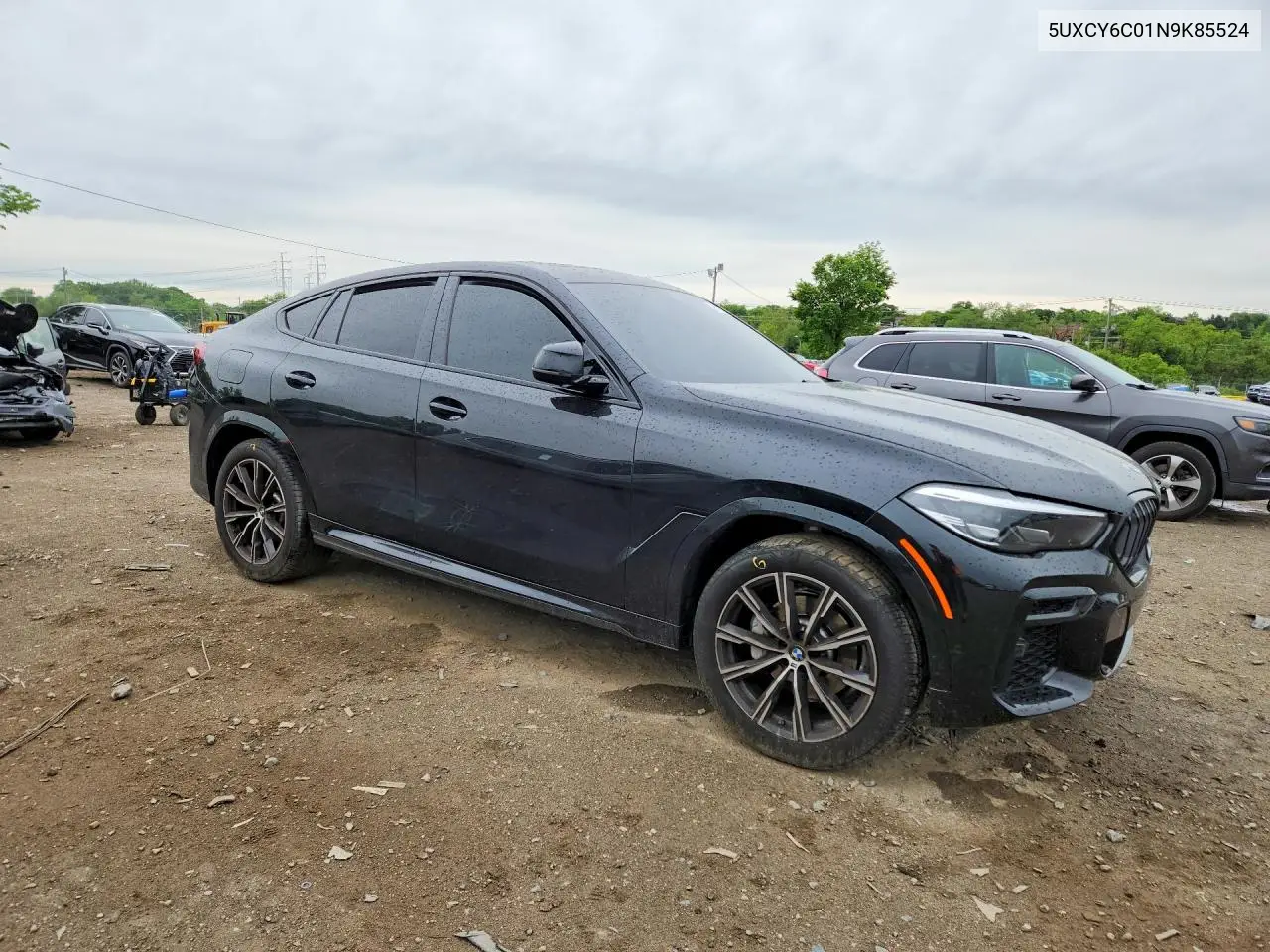 2022 BMW X6 xDrive40I VIN: 5UXCY6C01N9K85524 Lot: 53112406
