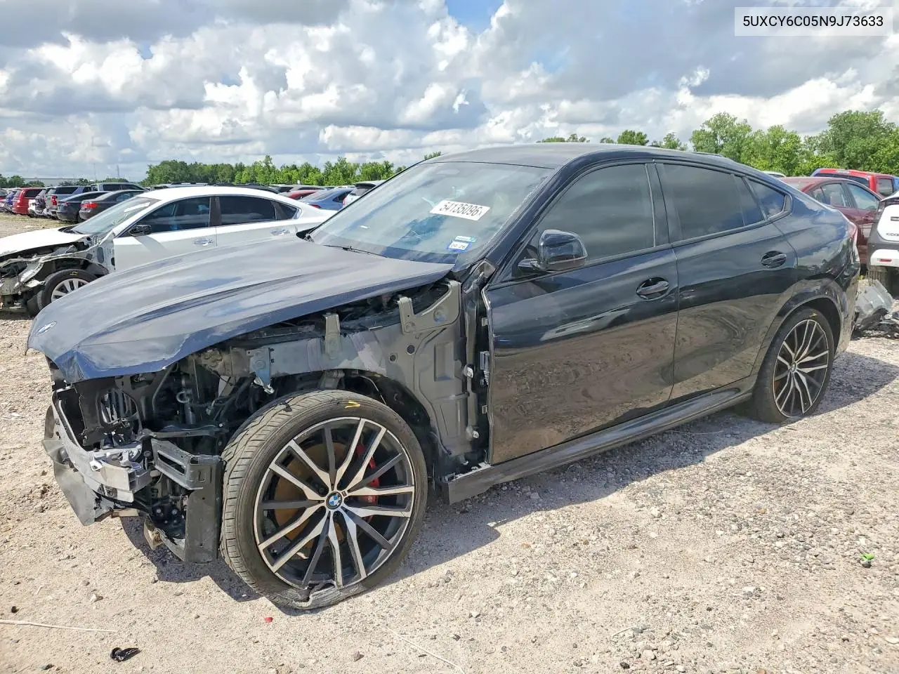2022 BMW X6 xDrive40I VIN: 5UXCY6C05N9J73633 Lot: 54135096