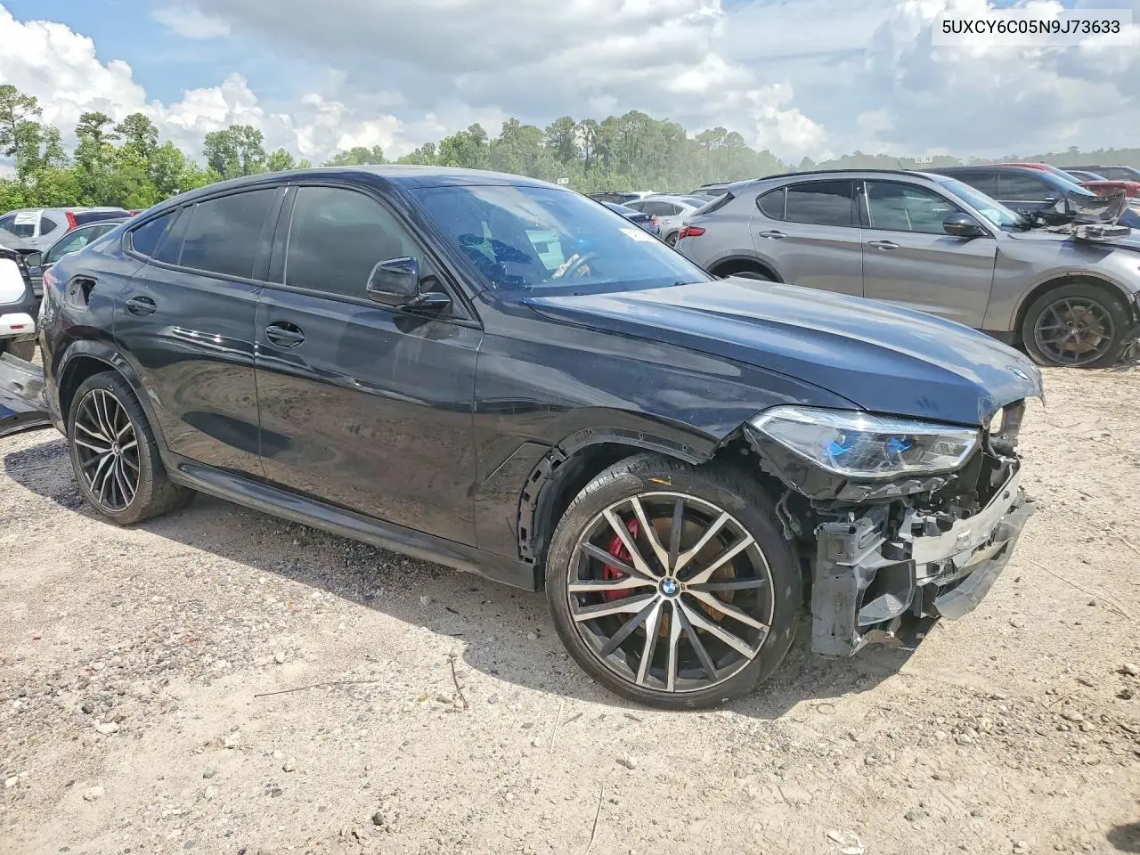 2022 BMW X6 xDrive40I VIN: 5UXCY6C05N9J73633 Lot: 54135096