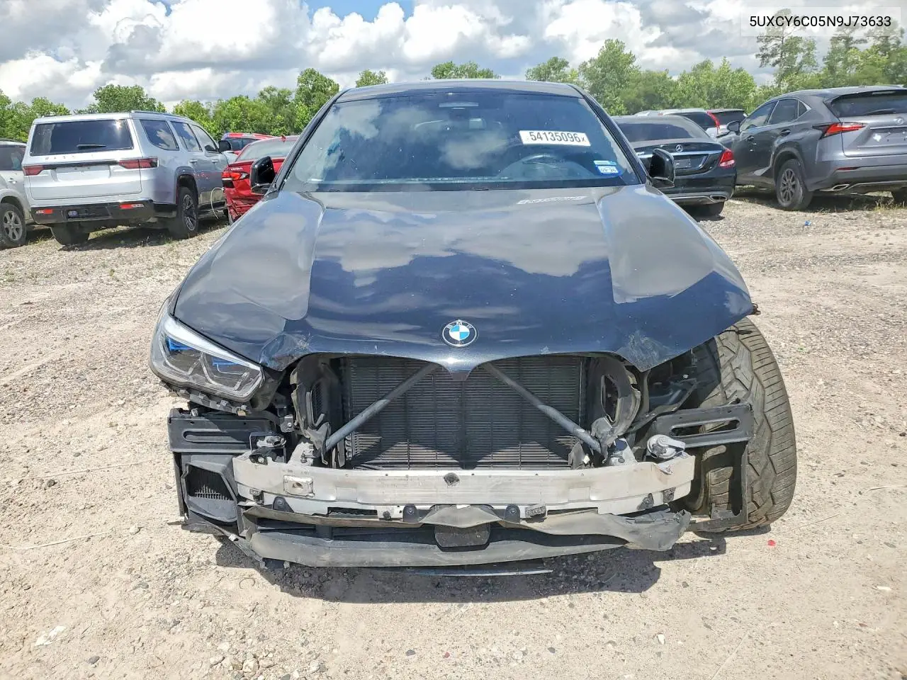 2022 BMW X6 xDrive40I VIN: 5UXCY6C05N9J73633 Lot: 54135096