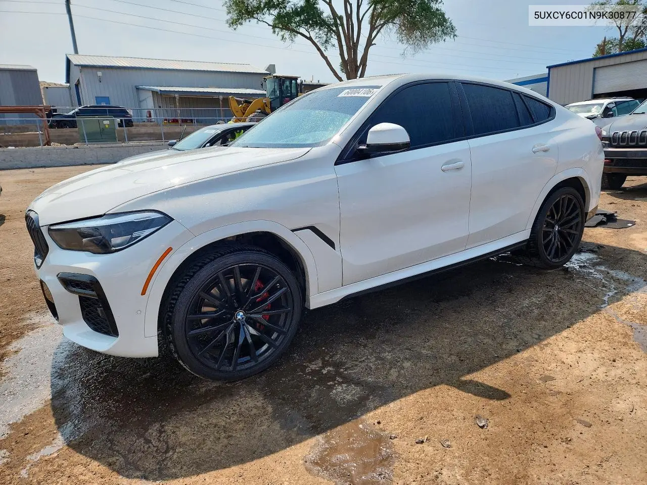 2022 BMW X6 xDrive40I VIN: 5UXCY6C01N9K30877 Lot: 60004106