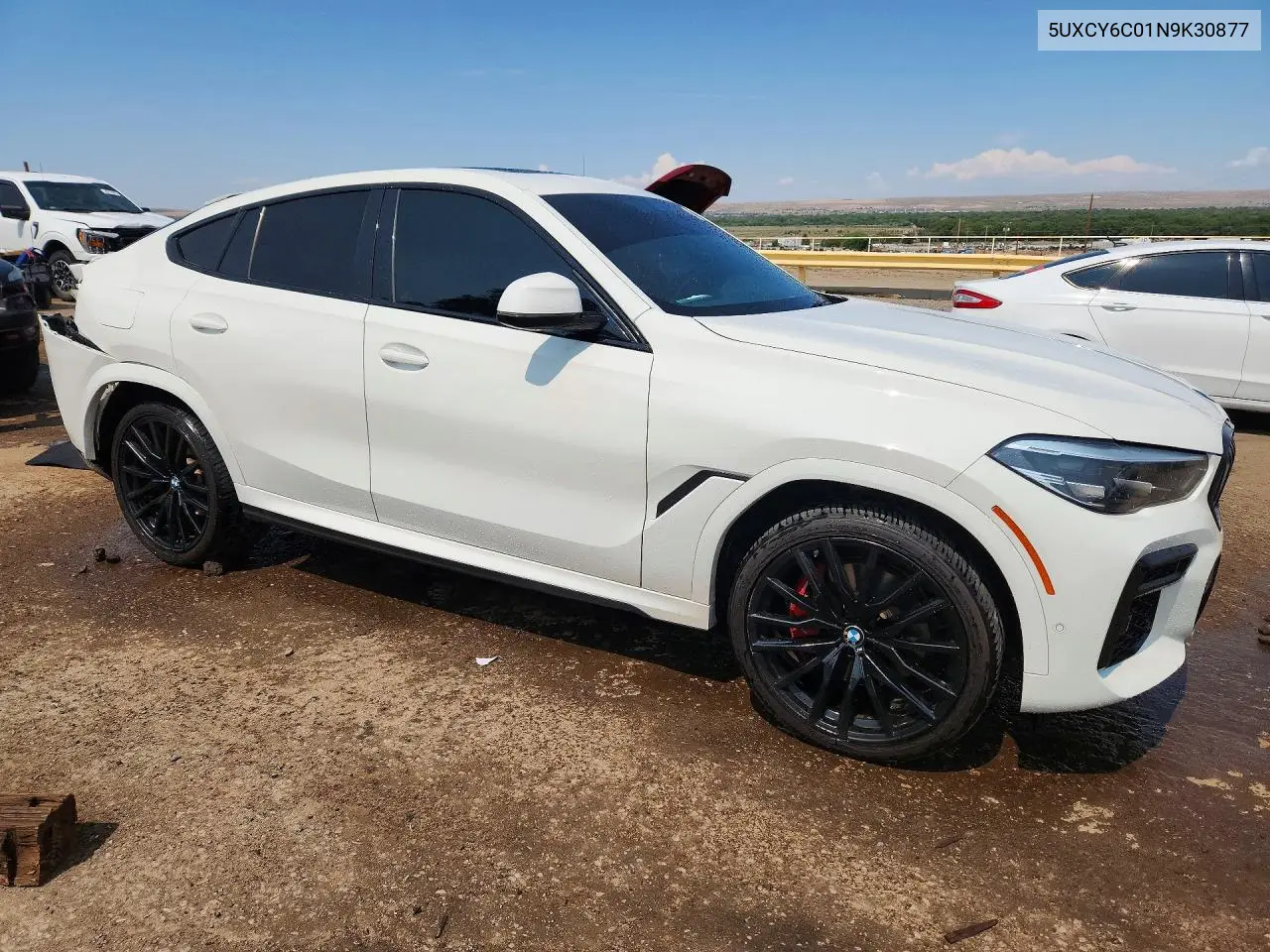 2022 BMW X6 xDrive40I VIN: 5UXCY6C01N9K30877 Lot: 60004106