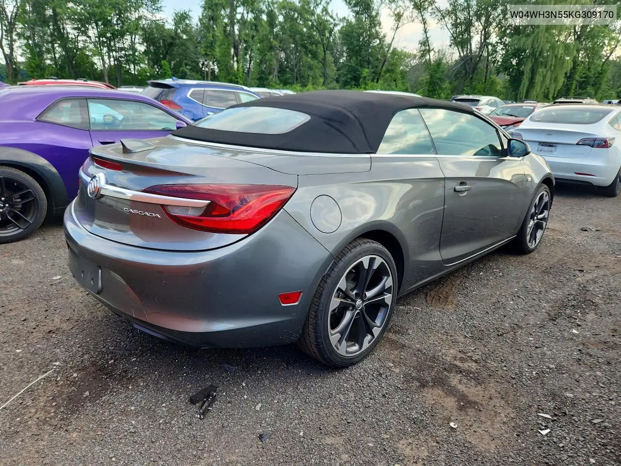 2019 Buick Cascada Premium VIN: W04WH3N55KG309170 Lot: 59647656