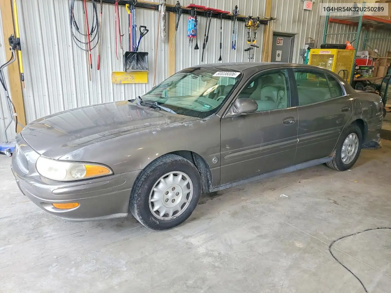 2002 Buick Le Sabre VIN: 1G4HR54K32U250289 Lot: 60038006