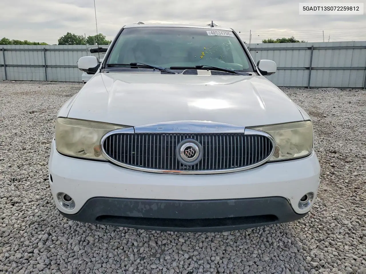 2007 Buick Rainier Cxl VIN: 5GADT13S072259812 Lot: 48534756
