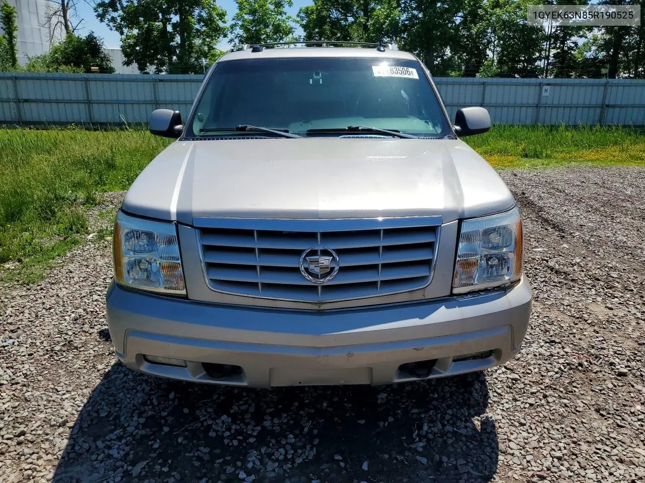 2005 Cadillac Escalade Luxury VIN: 1GYEK63N85R190525 Lot: 57283506
