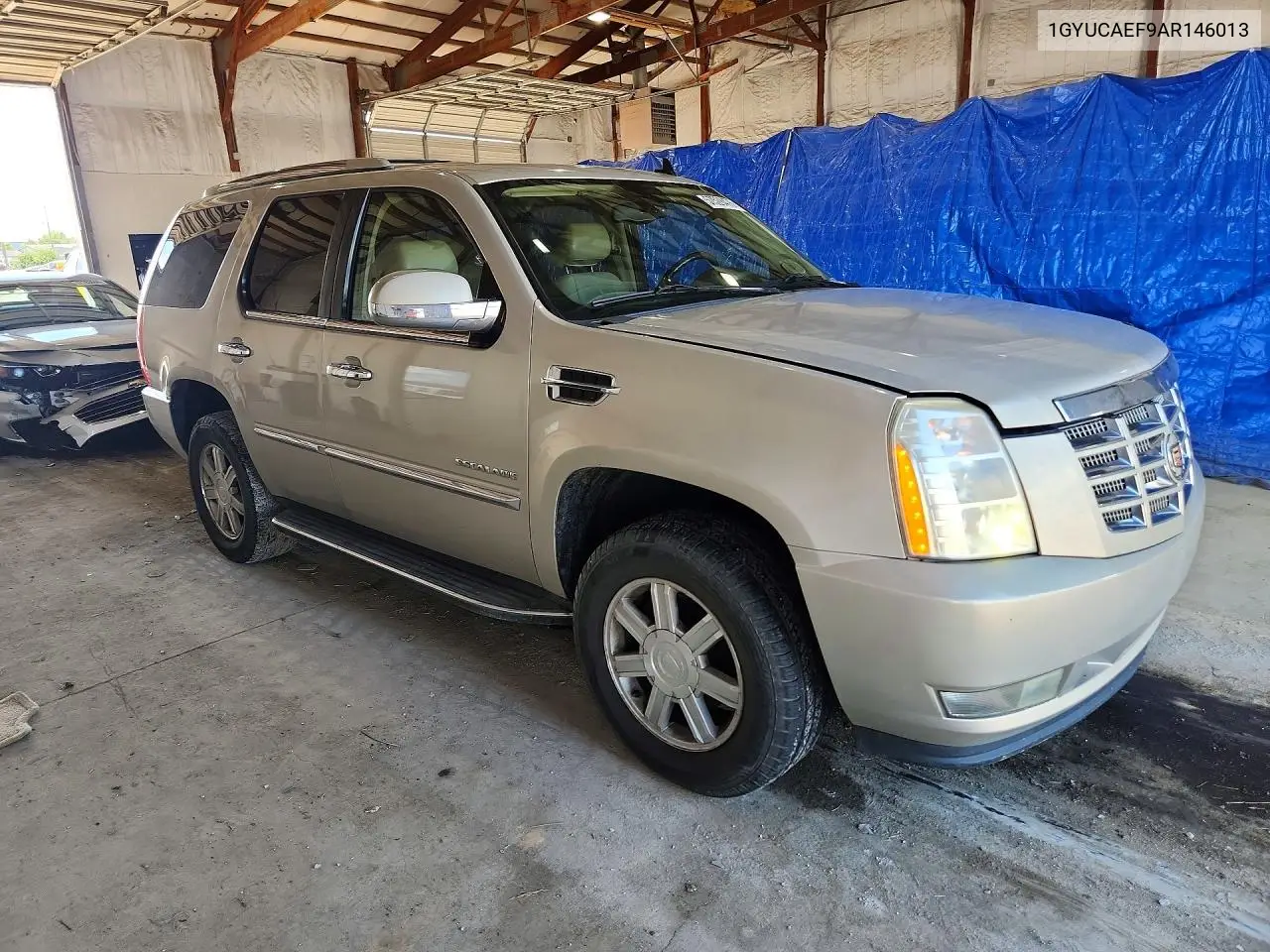 2010 Cadillac Escalade VIN: 1GYUCAEF9AR146013 Lot: 57528476