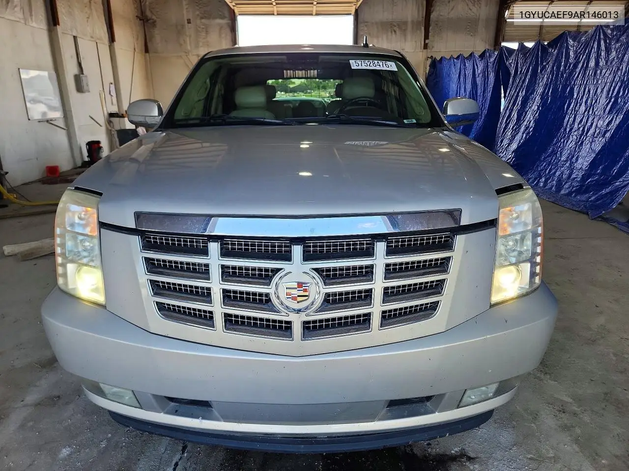 2010 Cadillac Escalade VIN: 1GYUCAEF9AR146013 Lot: 57528476