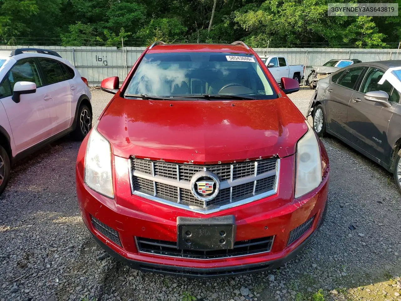 2010 Cadillac Srx Luxury Collection VIN: 3GYFNDEY3AS643819 Lot: 58543606
