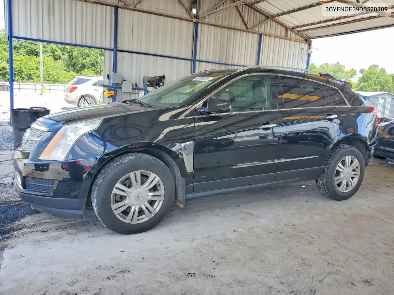 2013 Cadillac Srx Luxury Collection VIN: 3GYFNGE39DS520309 Lot: 56795336