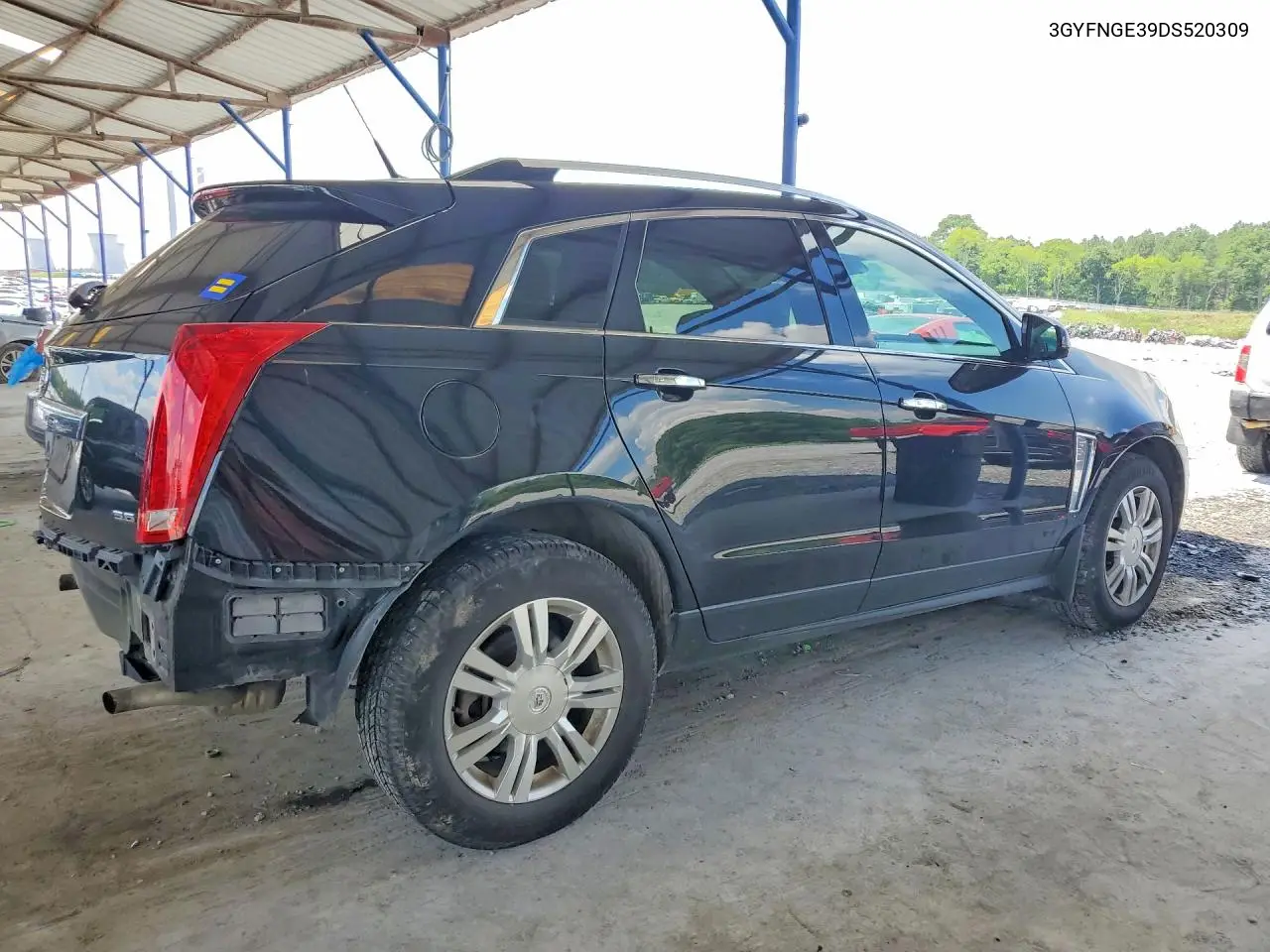 2013 Cadillac Srx Luxury Collection VIN: 3GYFNGE39DS520309 Lot: 56795336