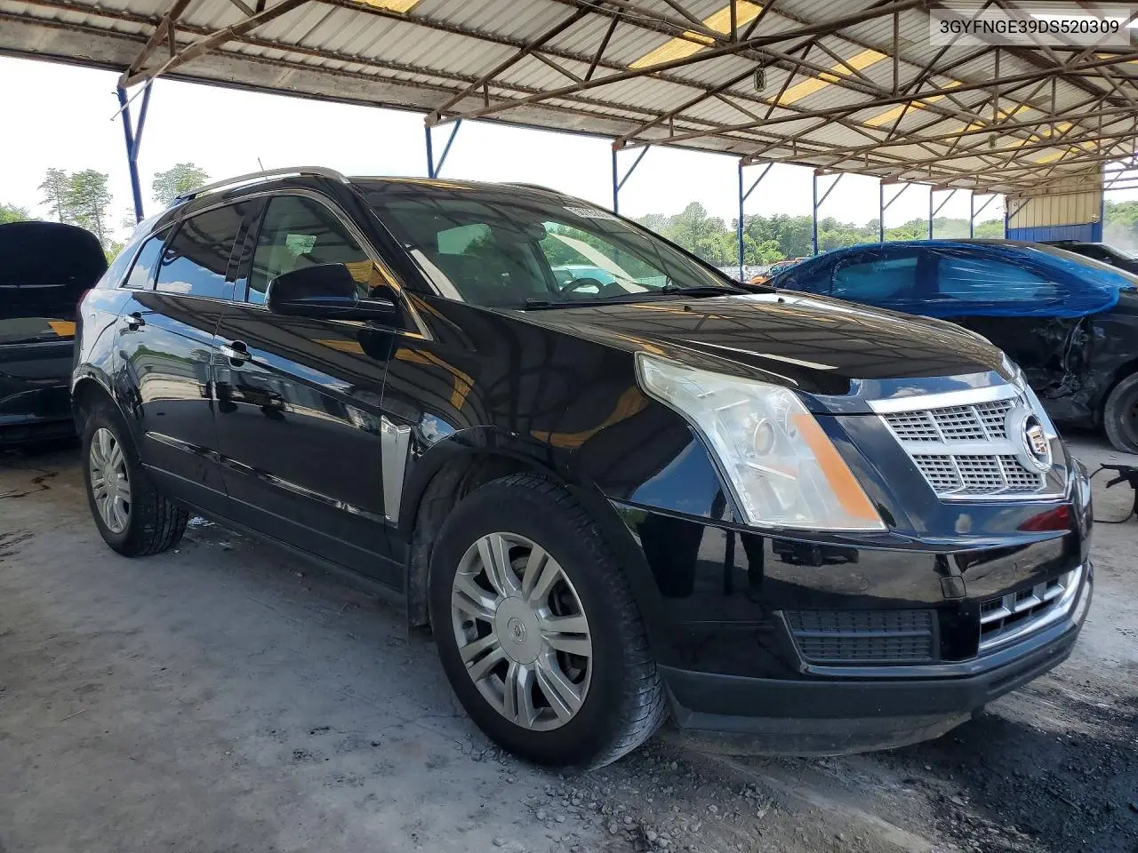 2013 Cadillac Srx Luxury Collection VIN: 3GYFNGE39DS520309 Lot: 56795336
