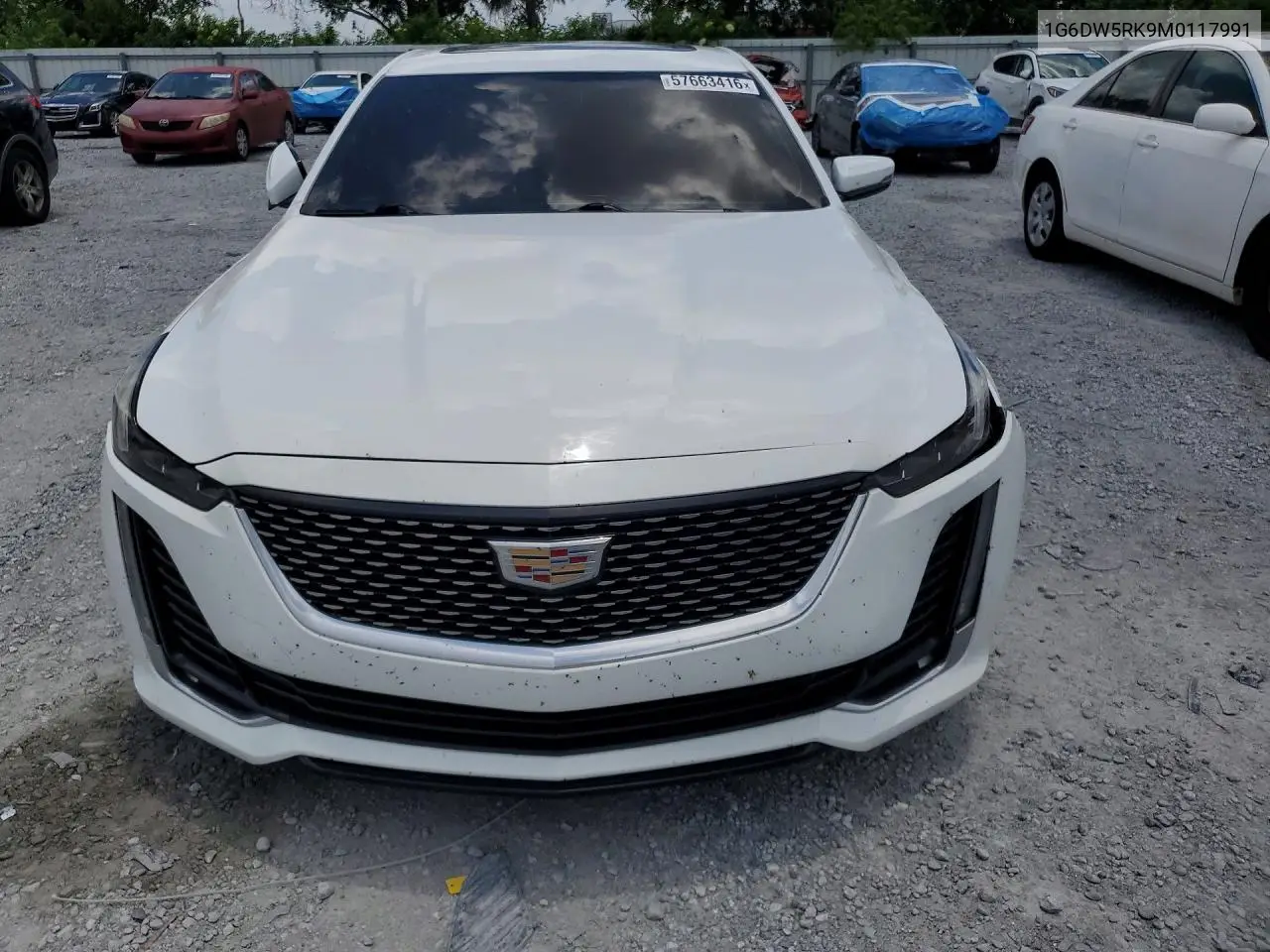 2021 Cadillac Ct5 Luxury VIN: 1G6DW5RK9M0117991 Lot: 57663416