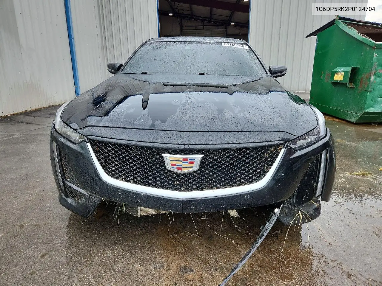2023 Cadillac Ct5 Sport VIN: 1G6DP5RK2P0124704 Lot: 55750766